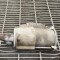 Electromotor OPEL ZAFIRA TOURER C P12 2012 11741026