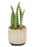 Planta Artificiala Sansevieria 20 cm , Planta Decorativa Mica pentru Birou sau Casa