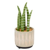 Planta Artificiala Sansevieria 20 cm , Planta Decorativa Mica pentru Birou sau Casa