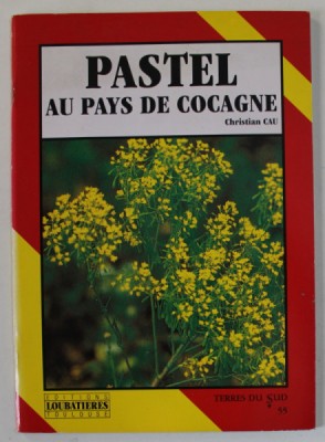 PASTEL AU PAYS DE COCGANE par CHRISTIAN CAU , 1999 foto