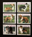 Afganistan 1999 - Set Complet de 6 Mărci Poștale "Rase de C&acirc;ini Ciobănești / Chinologie" (Dogs / Herding &amp; Sheepdogs) - Cod: -A992