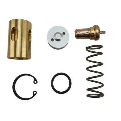 Set supapa termostatica pentru RSX 10 , RSX 15 , RSX 20 foto