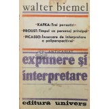 Expunere si interpretare - Walter Biemel ($Q4)