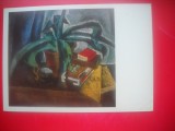 HOPCT 23424 AGAVA -PIOTR KONCHALOVSKY 1876-1959 --MUZEE RUSIA - CP PICTURA --NECIRCULATA