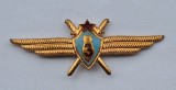 Aviatie militara - PILOT, insigna Rusia sovietica anii 1970, RARA