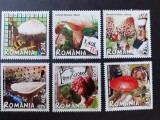 2008 - Romania - Ciuperci