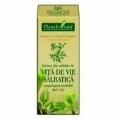 EXTRACT VITA VIE SALBATICA 50ML-Reumatism,Spondiloza foto