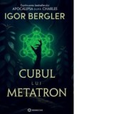 Cubul lui Metatron. Continuarea bestsellerului Apocalipsa dupa Charles - Igor Bergler