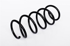 Arc Suspensie Fata 392661 73764