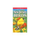 Compact Guide to New Jersey Birds