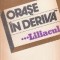 Orase in deriva, Volumul al III-lea - Liliacul