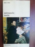 Saloanele mele- Emile Zola