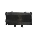 Radiator SUZUKI GSF 1200 2001-2006 Bandit