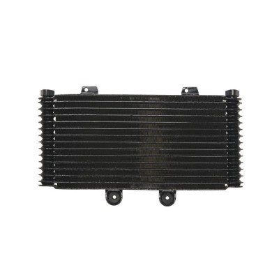 Radiator SUZUKI GSF 1200 2001-2006 Bandit foto