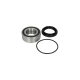 Set rulment roata FORD TRANSIT platou sasiu E BTA H2G010BTA