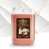 Detergent de vase Concentrat ACETO &amp; BICARBONATO, 5 Kg