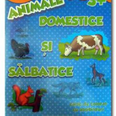 Animale domestice si salbatice 3+ - Carte de colorat cu abtibilduri