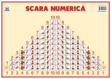 Planșă. Scara numerică - Paperback - *** - Didactica Publishing House