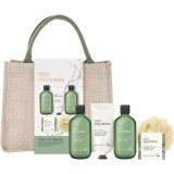 Baylis &amp; Harding Wellness. Energise set cadou geanta de cosmetice Ginger, Lime &amp; Basil Leaf
