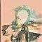 Patima editura Eminescu Mircea Micu 1978