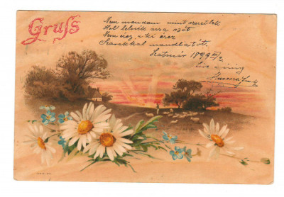 CPIB 20838 FELICITARE - PEISAJ, FLORI, 1899 foto