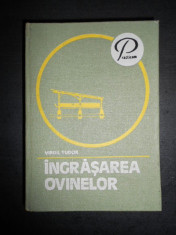 Virgil Tudor - Ingrasarea ovinelor (1978) foto