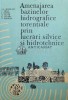 Amenajarea bazinelor hidrografice torentiale prin lucrari silvice si hidrotehnice, vol. 2. Amenajarea retelei hidrografice torentiale si efectele lucr