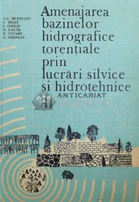 Amenajarea bazinelor hidrografice torentiale prin lucrari silvice si hidrotehnice, vol. 2. Amenajarea retelei hidrografice torentiale si efectele lucr foto