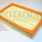 MOTAQUIP VFA1019 Filtru aer