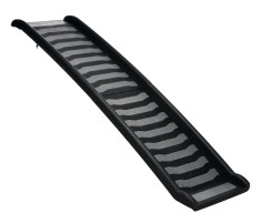 Rampa Plastic Din 2 Elemente 39?160 cm 70 kg 39477 foto