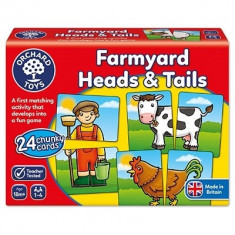 Joc educativ asociere Prietenii de la ferma FARMYARD HEADS &amp;amp; TAILS foto