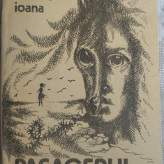 NICOLAE IOANA - PASAGERUL (POVESTIRI, editia princeps 1985/desene DINU PETRESCU)