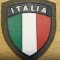 C7 58 - Ecuson tematica nationala - steag - Italia - piesa de colectie!