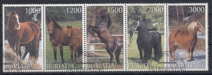 Rusia - Buriatia - CAI - CTO