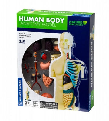Kit STEM Anatomia corpului uman foto