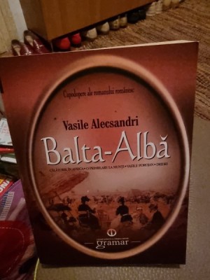 Vasile Alecsandri - Balta-Alba foto
