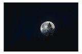 Tablou Canvas, "Luna printre copaci &icirc;n noapte", Lună, Noapte, Copaci, Siluetă, Cer, Mister, Lumină, Natură, 39 x 26 cm, CMCLASS