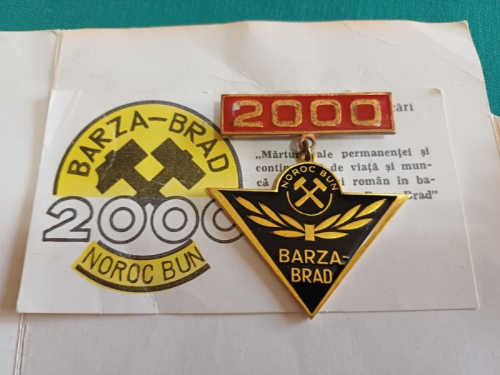 PROGRAM BARZA BRAD * SESIUNEA ȘTIINȚIFICĂ DE COMUNICĂRI +INSIGNĂ / 1979 * 54