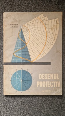 DESENUL PROIECTIV. Manual pentru clasa a X-a - Lepadatu, Haiduc foto