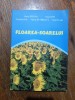 Floarea Soarelui - Victor Stefan / R7P4S