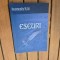 Eseuri - Constantin Vlad