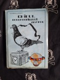 Georgica Popescu - Ghidul columbofilului amator