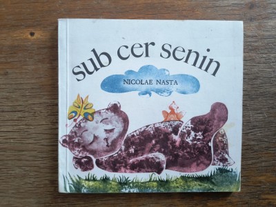 Sub cer senin - Nicolae Nasta / R6P3F foto