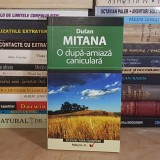 DUSAN MITANA - O DUPA-AMIAZA CANICULARA , 2007 *