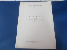 Trio pentru vioara,violoncel si pian (op 11)-Carmen Petra Basacopol foto