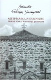 Asteptarea lui Dumnezeu. Despre boala, suferinta si moarte - Emilianos Simonopetritul