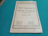 VALEA TELEAJENULUI ȘI MASIVUL CIUCAȘULUI * CĂLĂUZĂ TURISTICĂ / D. IONESCU- CR&Acirc;NGURI * 1941 * 4 2 4
