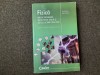 Fizica: 600 Probleme, Clasele VI-VIII, Dumitru Bacrau, Corint Educational - Soluții și Exerciții