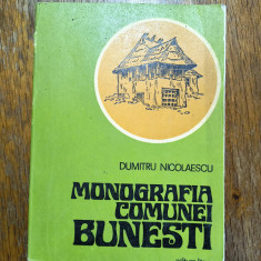 Monografia Comunei Bunesti - Dumitru Nicolaescu / R7P4S