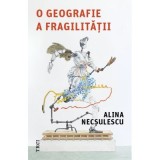 O geografie a fragilitatii - Alina Necsulescu